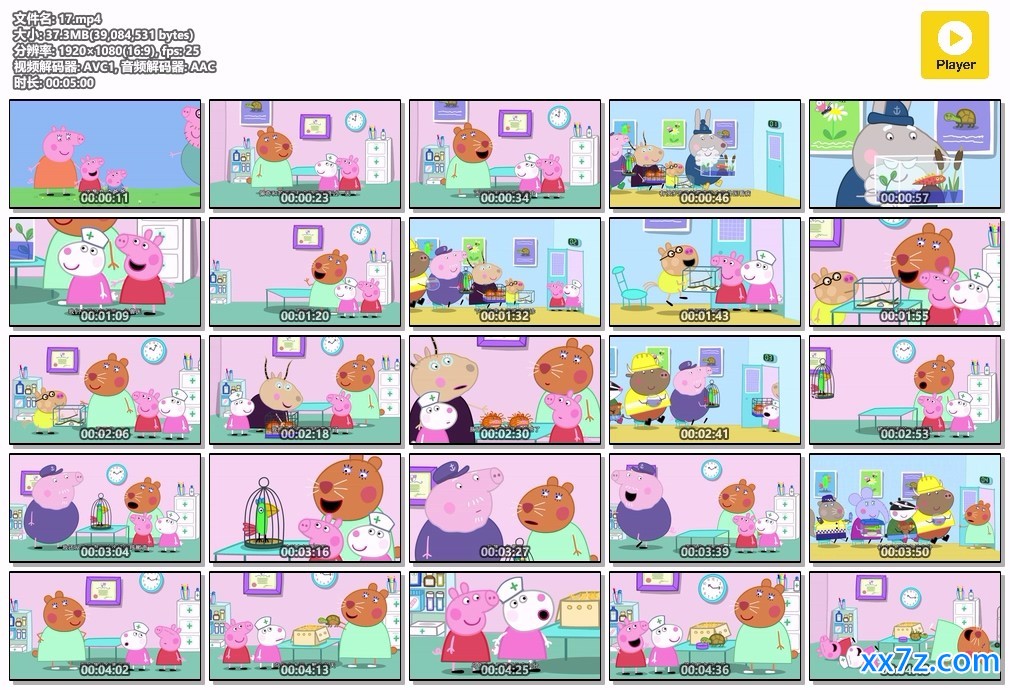 pig.mp4.jpg