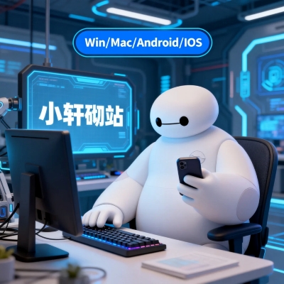 正版选购